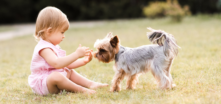 Ein Kind und ein Hund, die auf dem Rasen sitzen und spielen.