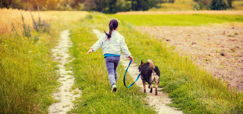 Ein Kind führt einen kleinen Hund an der Leine.