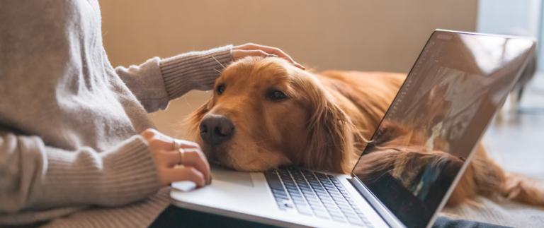 Eine Frau und ihr Hund vorm Laptop